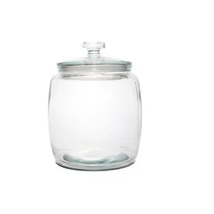 Aqua Canister Glass Belly Jar Lid 8.4L 27582